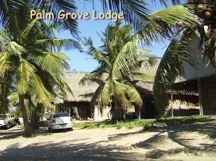 Palm Grove Lodge